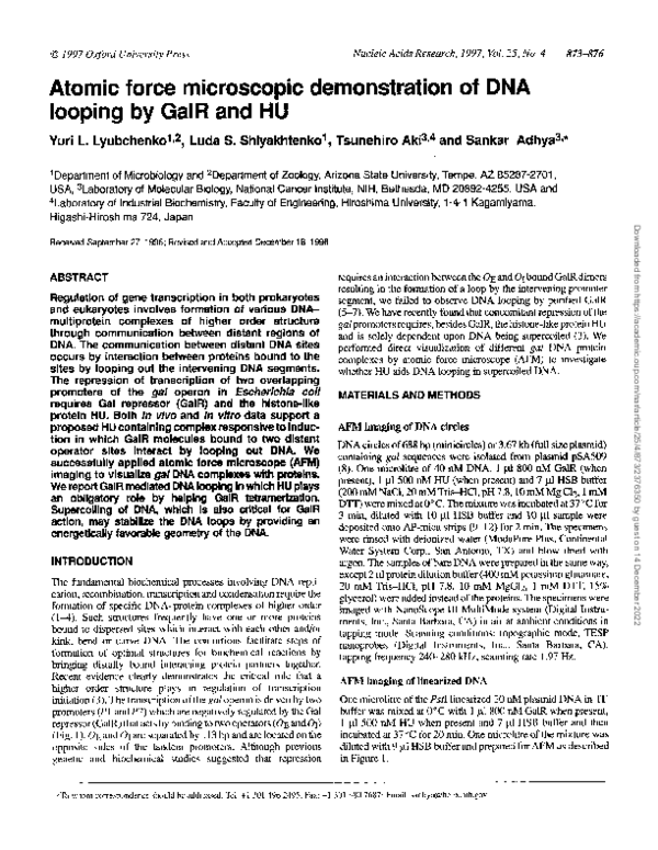 (PDF) Atomic force microscopic demonstration of DNA looping by GalR and HU