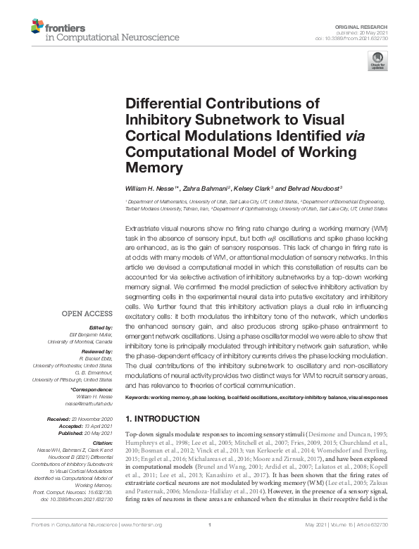 (PDF) Differential Contributions of Inhibitory Subnetwork to Visual ...