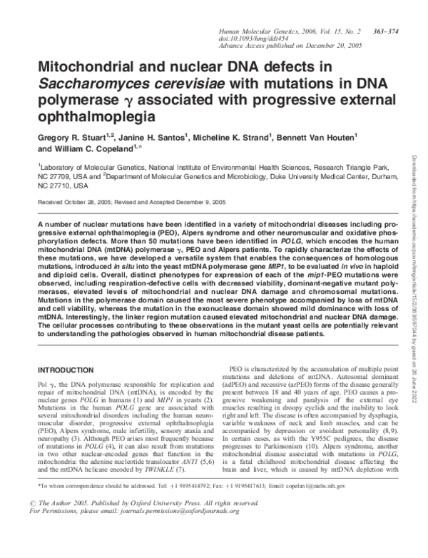 (PDF) Mitochondrial and nuclear DNA defects in Saccharomyces cerevisiae ...