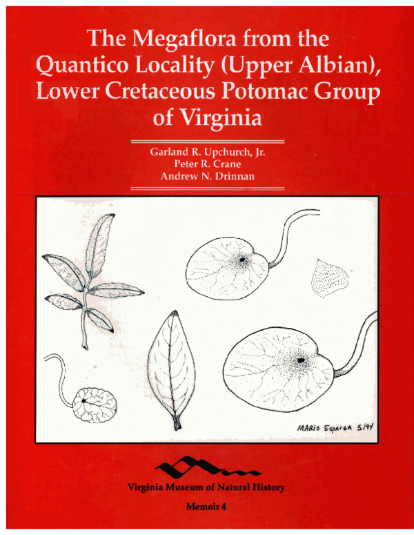 (PDF) The Megaflora from the Quantico Locality (Upper Albian), Lower ...