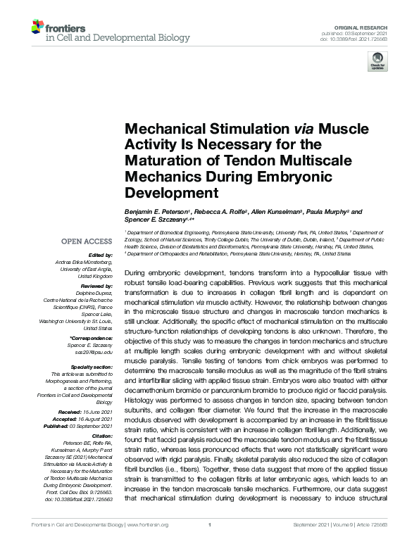 (PDF) Mechanical Stimulation via Muscle Activity Is Necessary for the ...