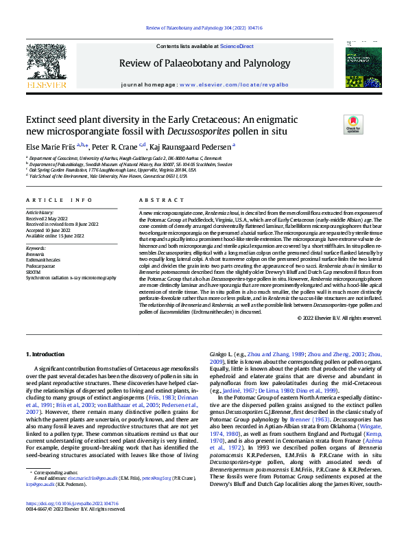 (PDF) Extinct seed plant diversity in the Early Cretaceous: An ...