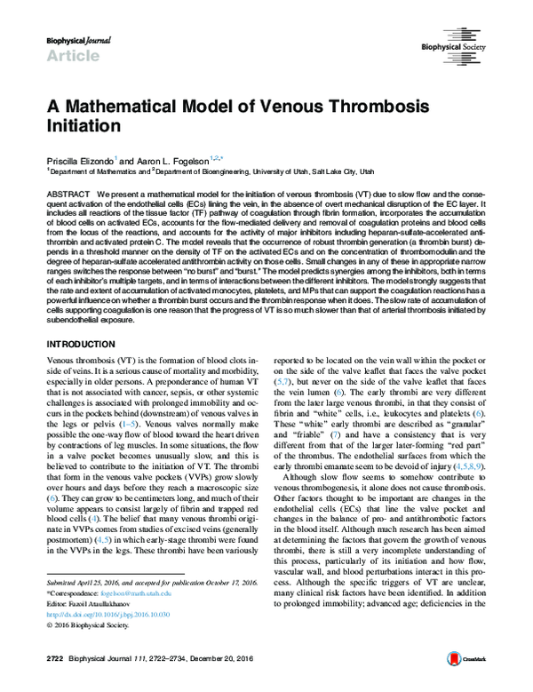 (PDF) A Mathematical Model of Venous Thrombosis Initiation