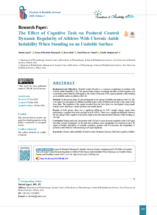 (PDF) The Effect of Cognitive Task on Postural Control Dynamic ...