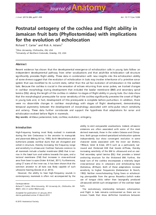 (PDF) Postnatal ontogeny of the cochlea and flight ability in Jamaican ...