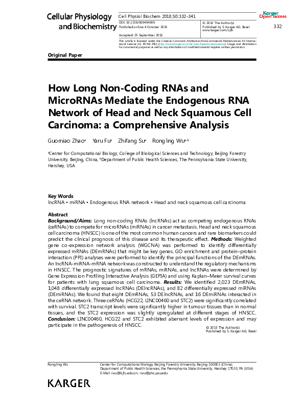 (PDF) How Long Non-Coding RNAs and MicroRNAs Mediate the Endogenous RNA ...