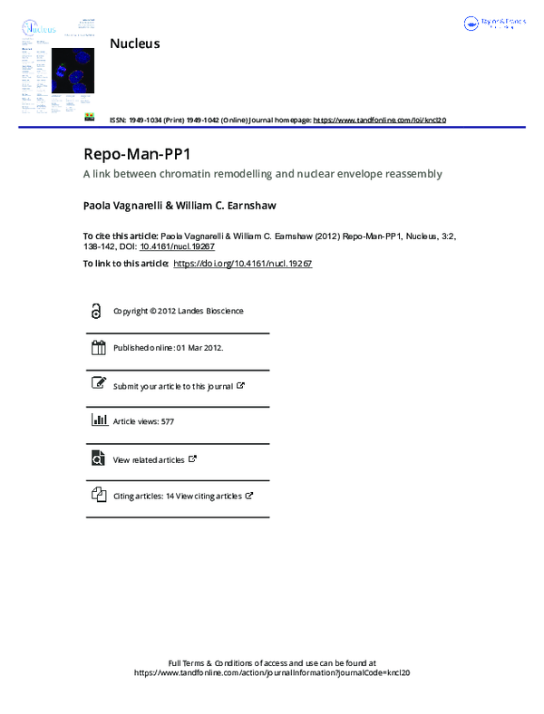 (PDF) Repo-Man-PP1