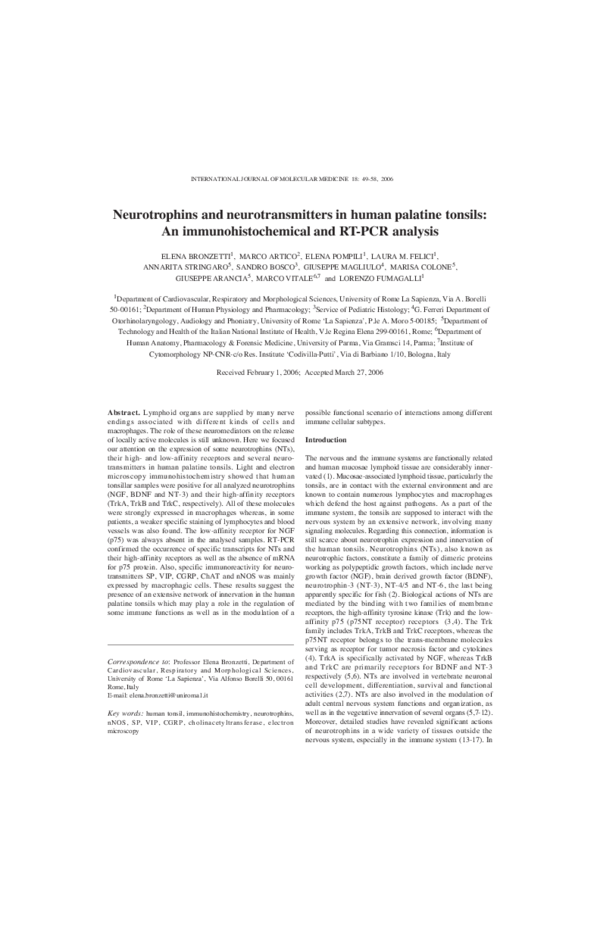 (PDF) Neurotrophins and neurotransmitters in human palatine tonsils: An ...