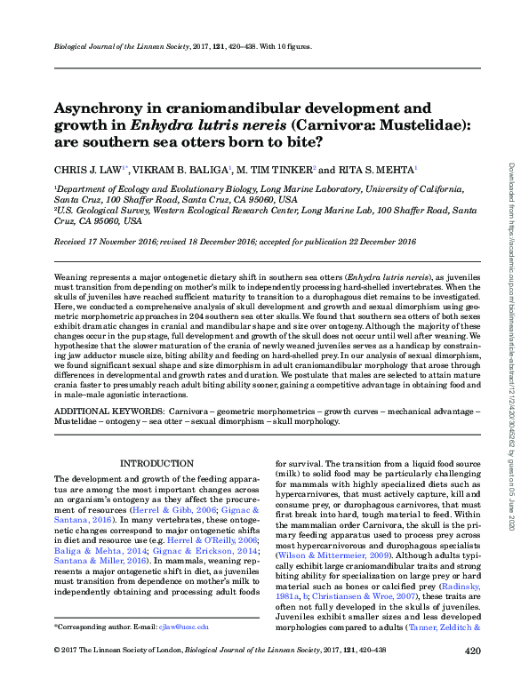 (PDF) Asynchrony in craniomandibular development and growth in Enhydra ...