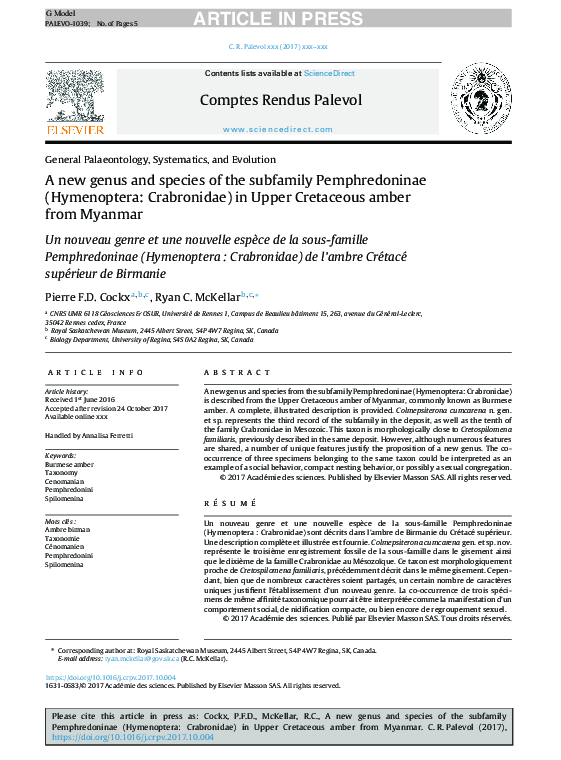 (PDF) A new genus and species of the subfamily Pemphredoninae ...