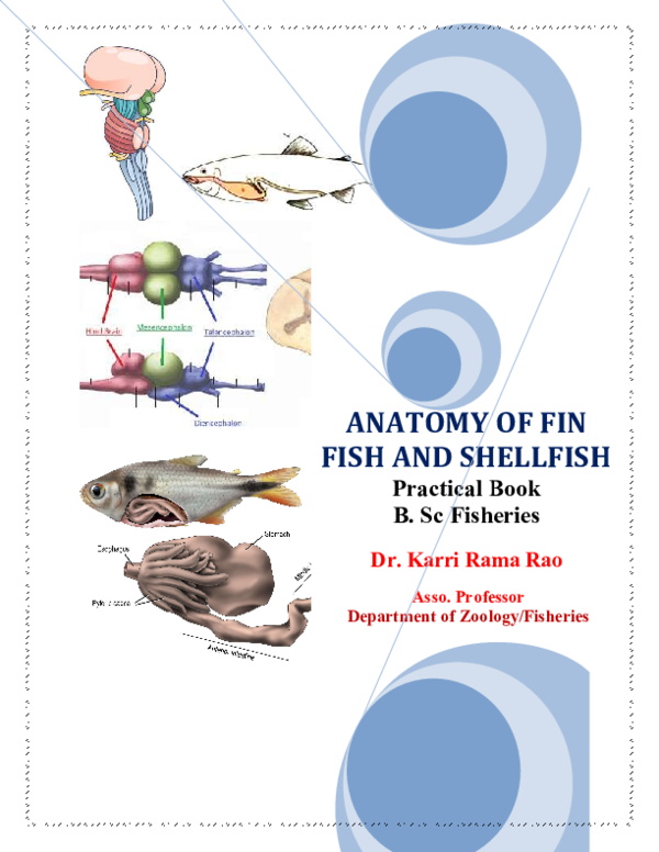 (PDF) ANATOMY OF FIN FISH AND SHELLFISH BOOK
