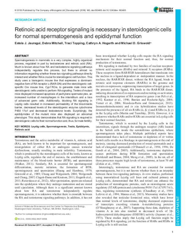 (PDF) Retinoic acid receptor signaling is necessary in steroidogenic ...