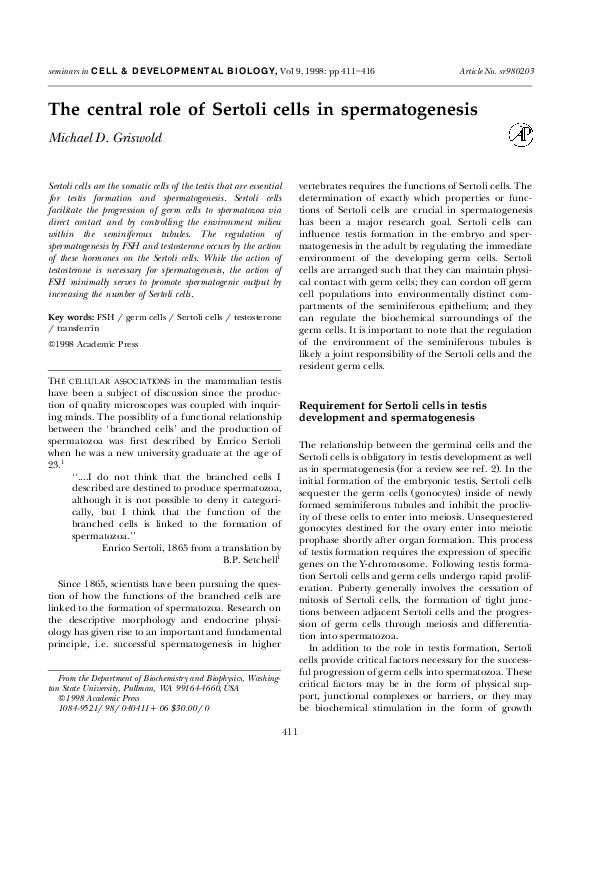 (PDF) The central role of Sertoli cells in spermatogenesis