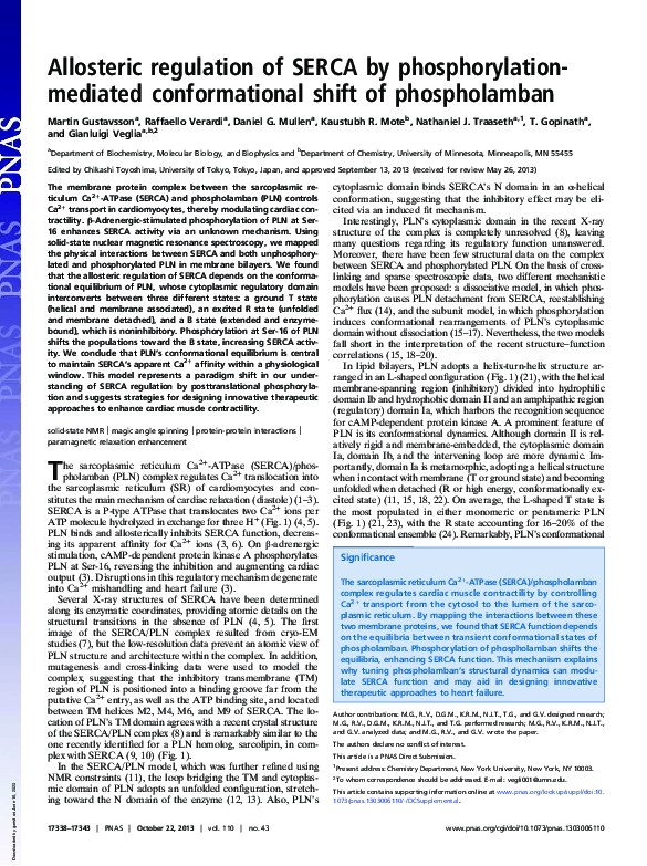 (PDF) Allosteric regulation of SERCA by phosphorylation-mediated ...