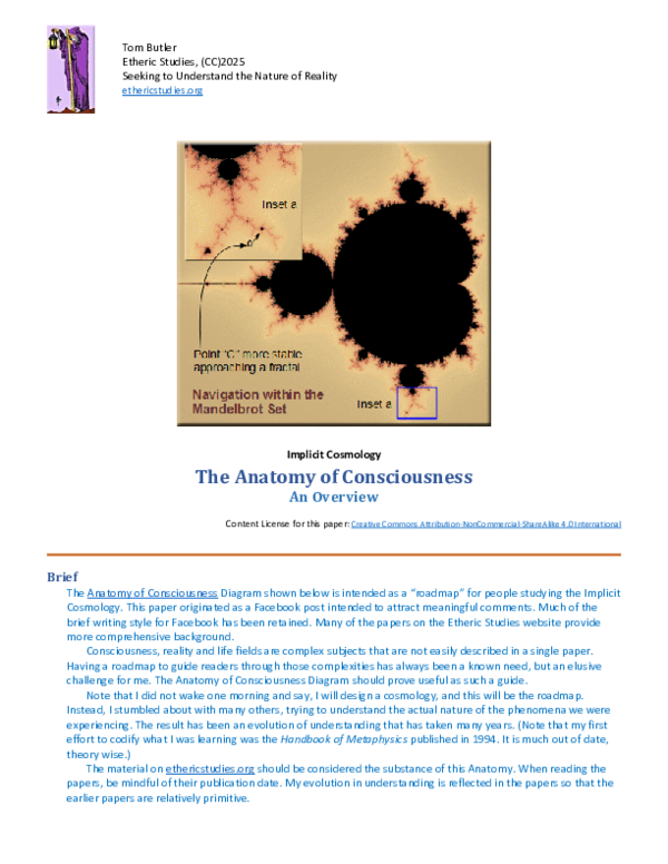 (PDF) The Anatomy of Consciousness -- an overview