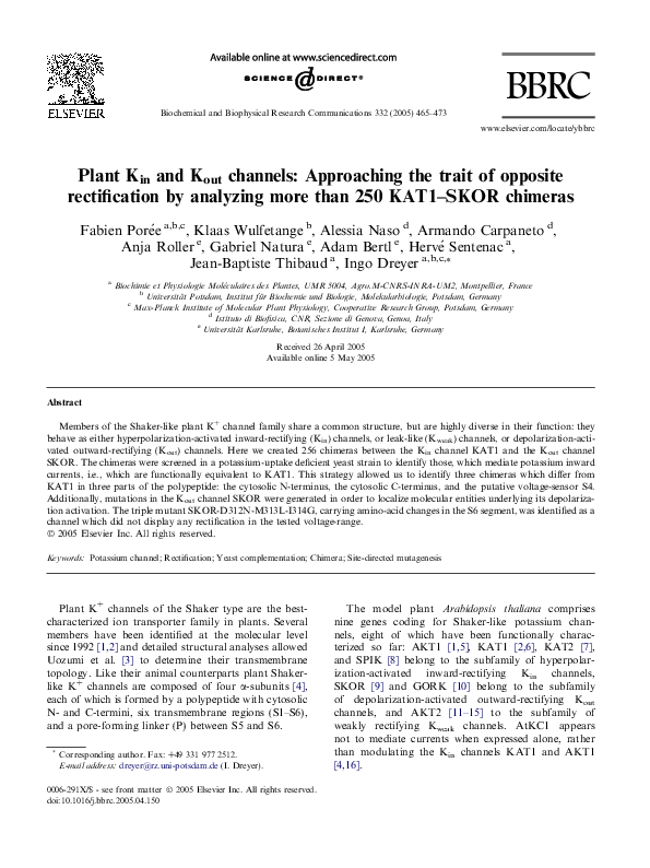 (PDF) Plant Kin and Kout channels: Approaching the trait of opposite ...
