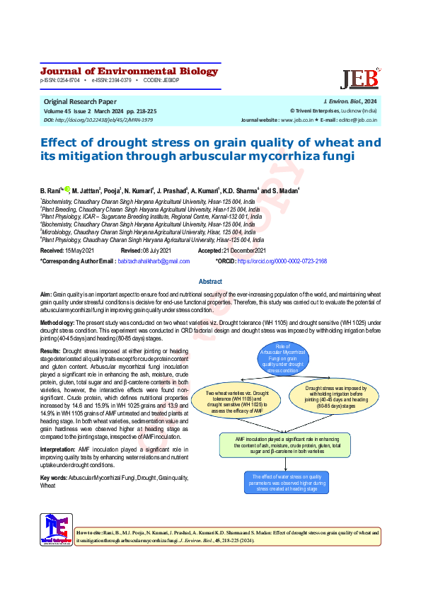 (PDF) Effect of drought stress on grain quality of wheat and its ...