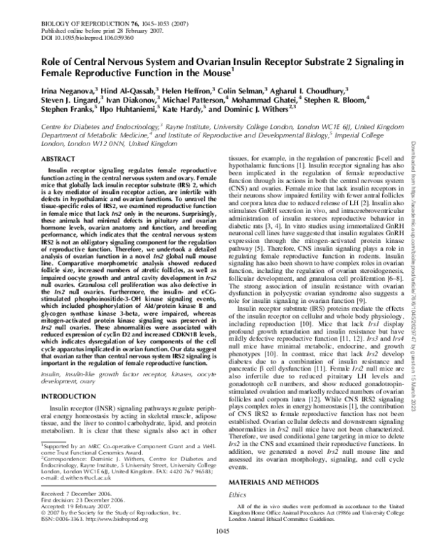 (PDF) Role of Central Nervous System and Ovarian Insulin Receptor ...