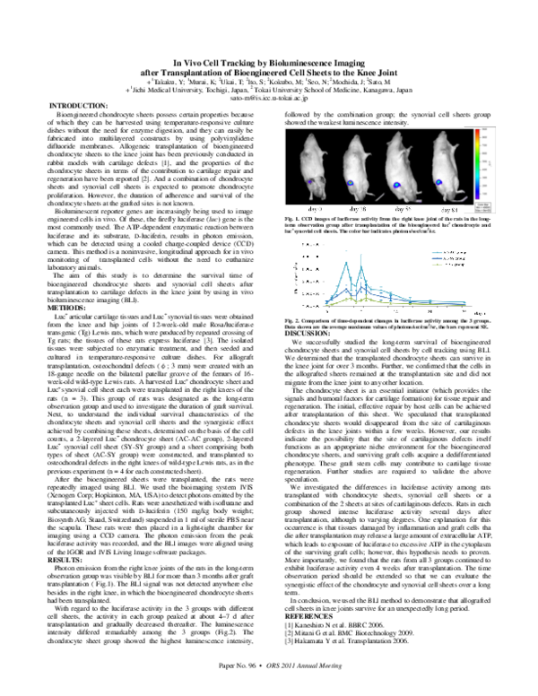 (PDF) In vivo cell tracking by bioluminescence imaging after ...