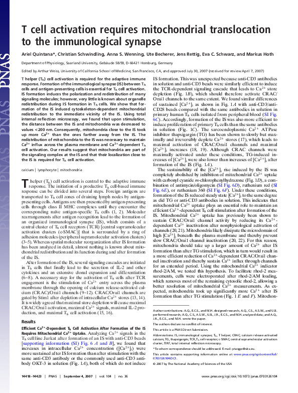 (PDF) T cell activation requires mitochondrial translocation to the ...