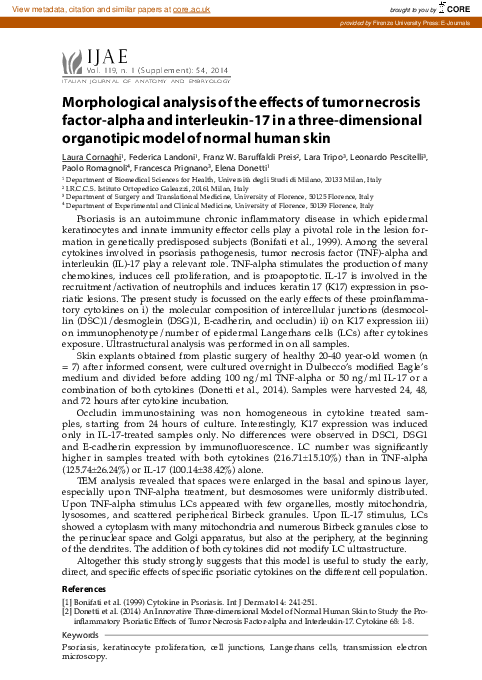 (PDF) Morphological analysis of the effects of tumor necrosis factor ...