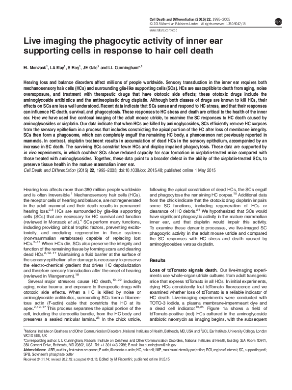 (PDF) Live imaging the phagocytic activity of inner ear supporting ...