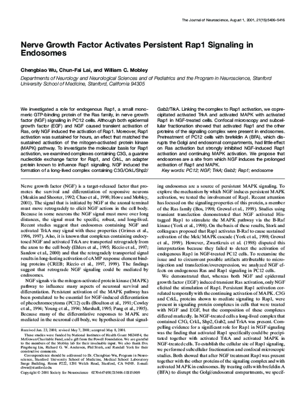 (PDF) Nerve Growth Factor Activates Persistent Rap1 Signaling in Endosomes