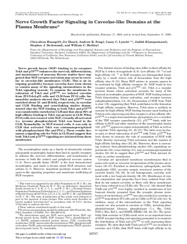(PDF) Nerve Growth Factor Signaling in Caveolae-like Domains at the ...