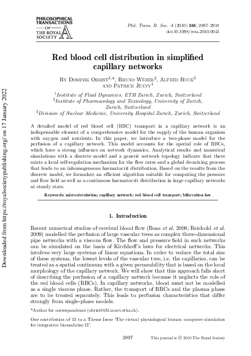 (PDF) Red blood cell distribution in simplified capillary networks