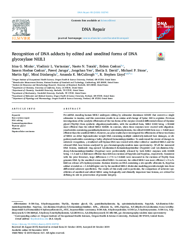 (PDF) Recognition of DNA adducts by edited and unedited forms of DNA ...