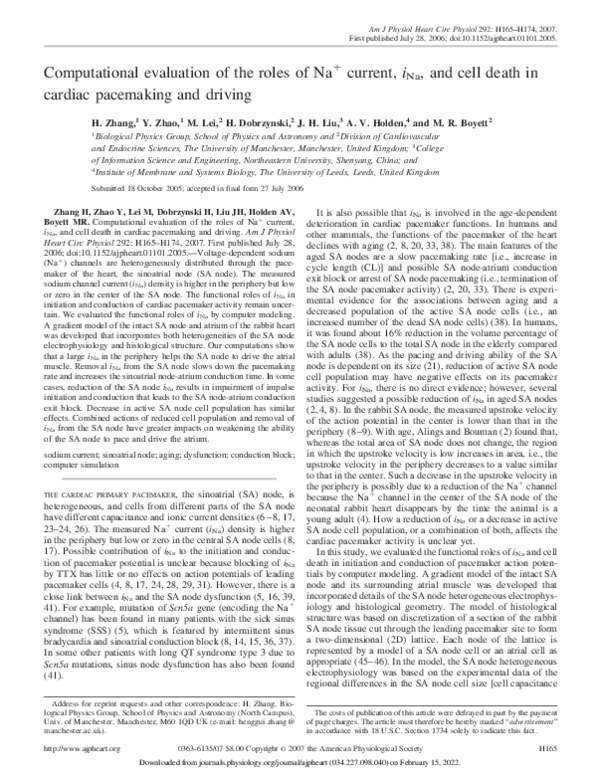 (PDF) Computational evaluation of the roles of Na+ current, iNa, and ...
