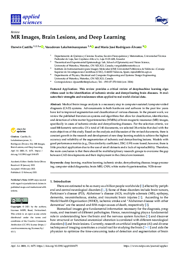 (PDF) MR Images, Brain Lesions, and Deep Learning
