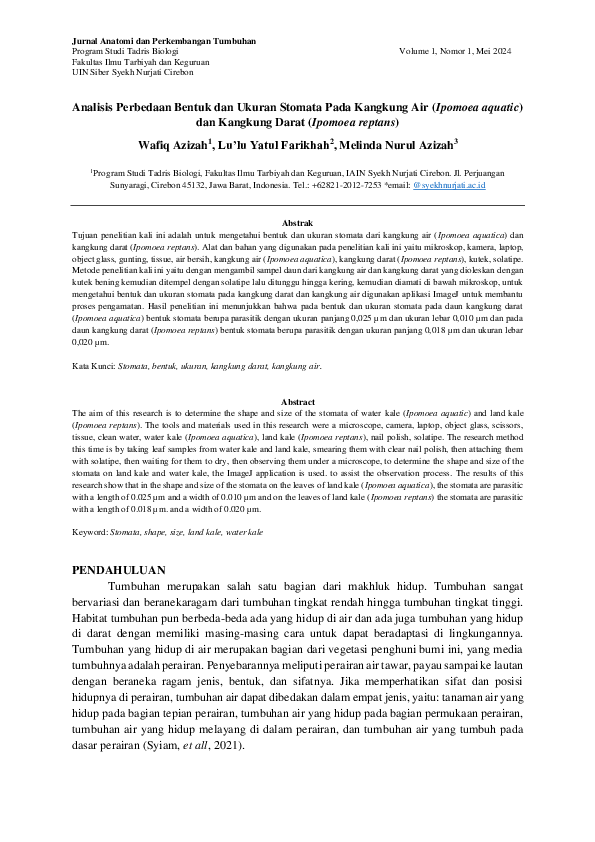 (PDF) Analisis Perbedaan Bentuk dan Ukuran Stomata Pada Kangkung Air