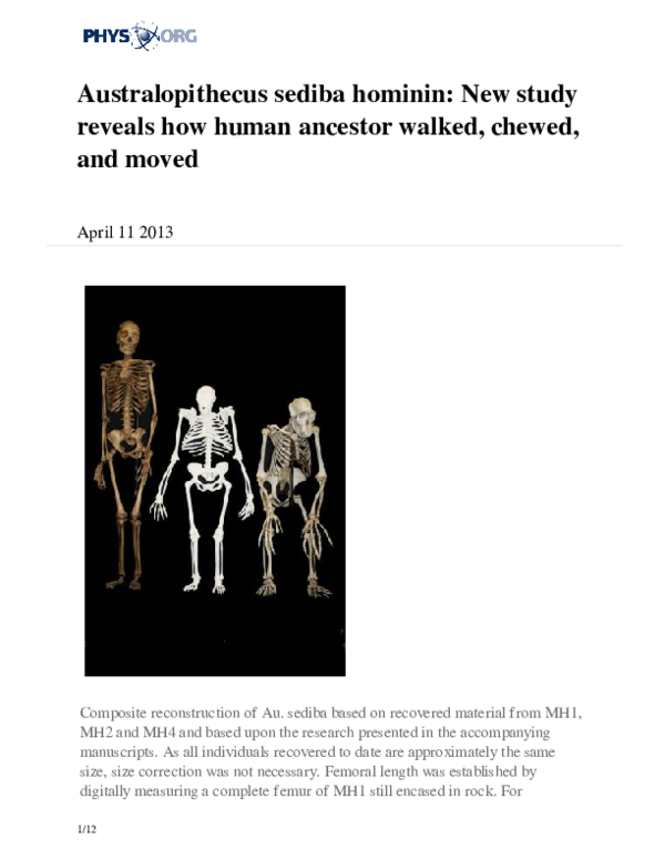 (PDF) The Lower Limb and Mechanics of Walking in Australopithecus sediba