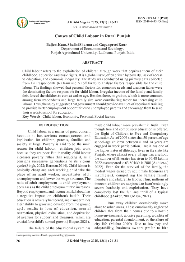 (PDF) Causes of Child Labour in Rural Punjab