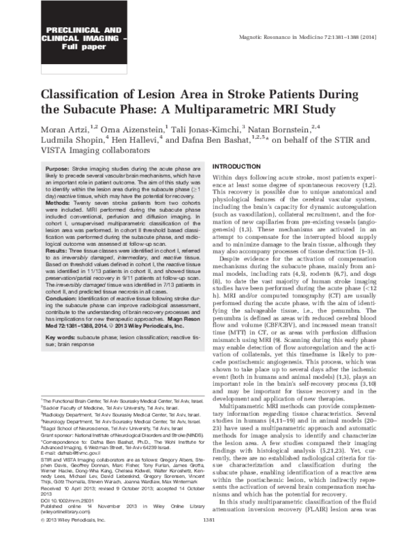 (PDF) Classification of lesion area in stroke patients during the ...
