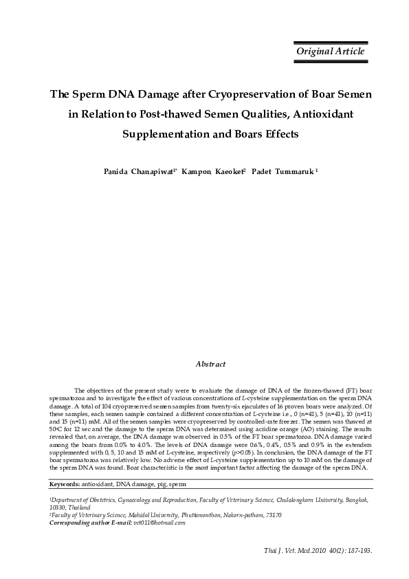 (PDF) The Sperm DNA Damage after Cryopreservation of Boar Semen in ...