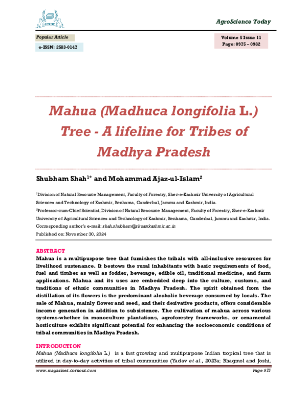 (PDF) Mahua (Madhuca longifolia L.) Tree -A lifeline for Tribes of ...
