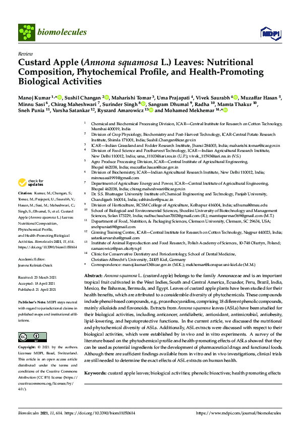 (PDF) Custard Apple (Annona squamosa L.) Leaves: Nutritional ...