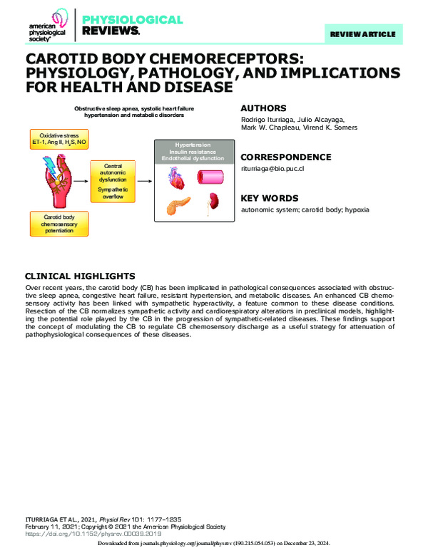 (PDF) Iturriaga et al 2021 carotid body chemoreceptors physiology ...