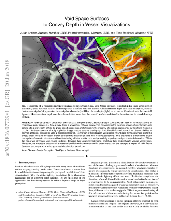 (PDF) Void Space Surfaces to Convey Depth in Vessel Visualizations