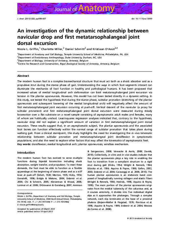 (PDF) An investigation of the dynamic relationship between navicular ...