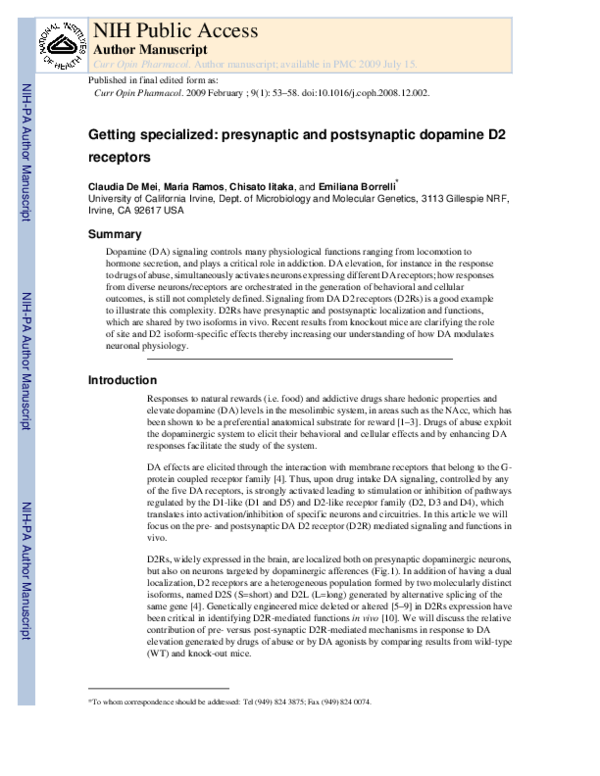 (PDF) Getting specialized: presynaptic and postsynaptic dopamine D2 ...