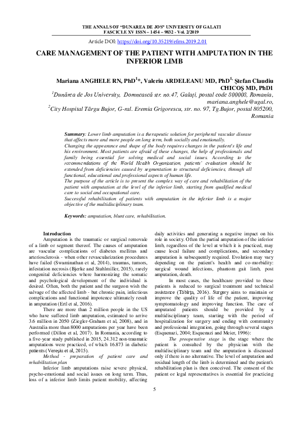 (PDF) Care management of the patient with amputation in the inferior limb
