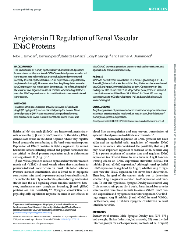 (PDF) Angiotensin II regulation of renal vascular ENaC proteins