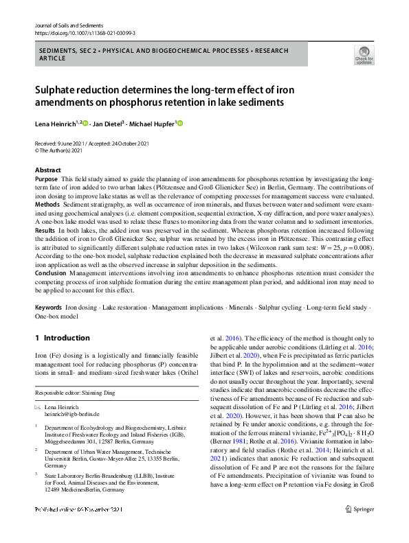(PDF) Sulphate reduction determines the long-term effect of iron ...