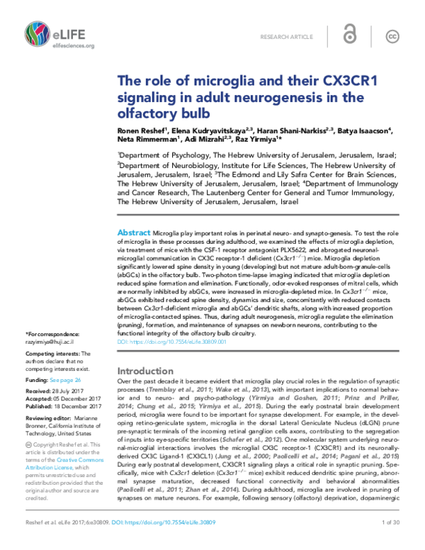 (PDF) The role of microglia and their CX3CR1 signaling in adult ...