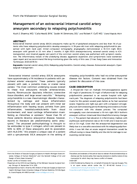 (PDF) Management of an extracranial internal carotid artery aneurysm ...