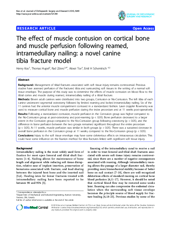 (PDF) The effect of muscle contusion on cortical bone and muscle ...