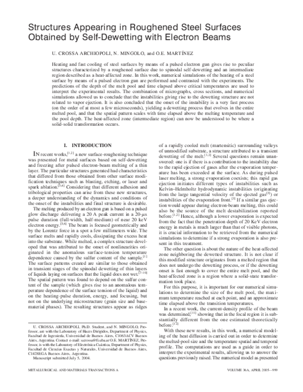 (PDF) Structures appearing in roughened steel surfaces obtained by self ...